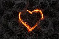 in Flammen stehende Herzform vor schwarzen Rosen von Besa Art Miniaturansicht