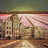 Holland und die Niederlande