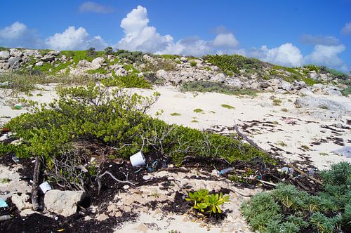 Plastic spoelt aan op Cozumel