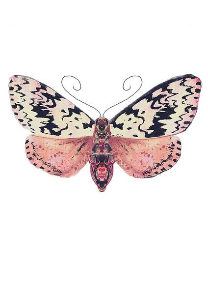 Papillon avec des taches noires sur fond blanc par Angela Peters