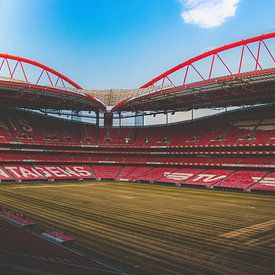 Sport Lisboa Benfica - Estadio da Luz sur Michelle LaSanto