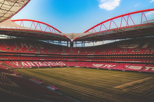 Sport Lisboa Benfica - Estadio da Luz sur Michelle LaSanto