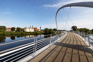Dessau - Tiergarten brug en oude stad van Frank Herrmann
