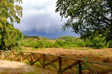 Donkere wolken boven een heideveld op de Lemelerberg