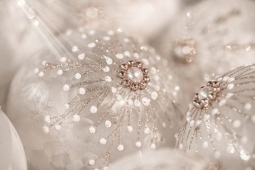 Un Noël séduisant. Rose.