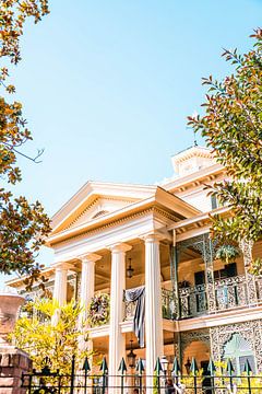 Haunted mansion Disneyland van Kaylee Verschure