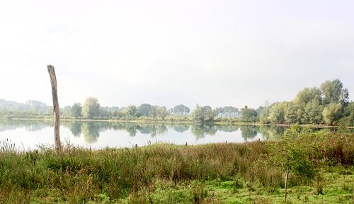 Azewijnse Broek Netterden