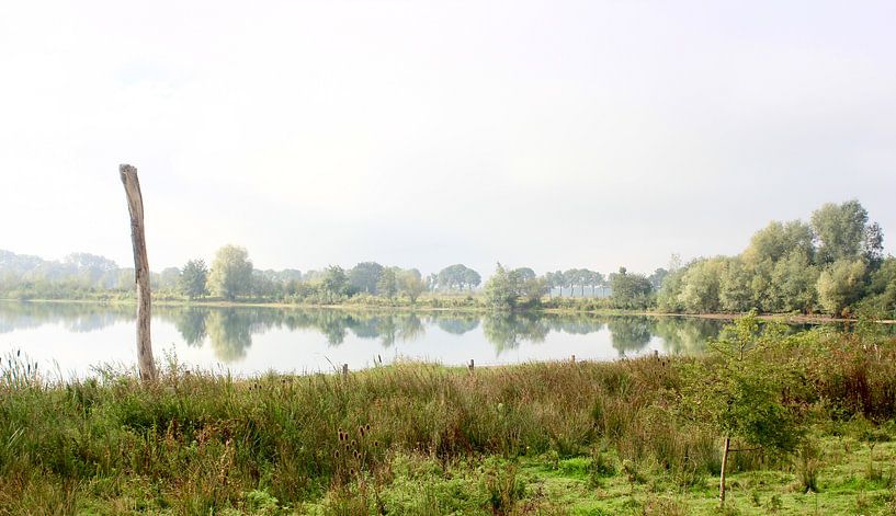 Azewijnse Broek Netterden par Marja Bergevoet
