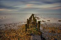 Palen&Schelpen met Ameland in de verte