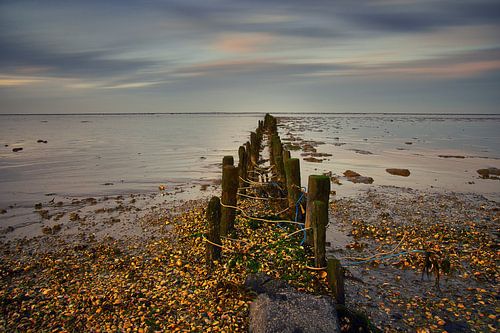 Palen&Schelpen met Ameland in de verte