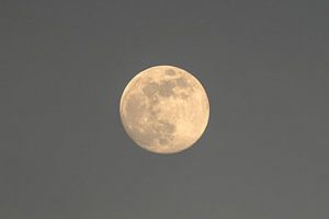 Nuit de velours - Pleine lune dans un ciel lumineux sur Femke Ketelaar