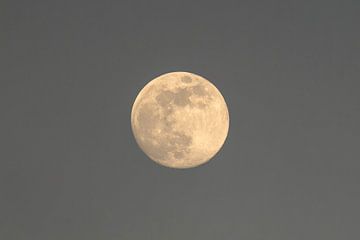 Velvet Night - Full Moon in Bright Sky Light by Femke Ketelaar