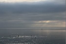 SILVER LININGS I