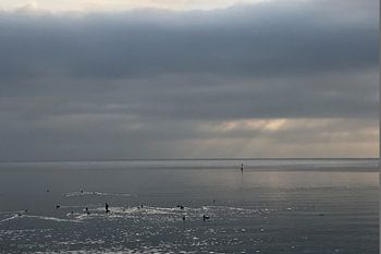 SILVER LININGS I