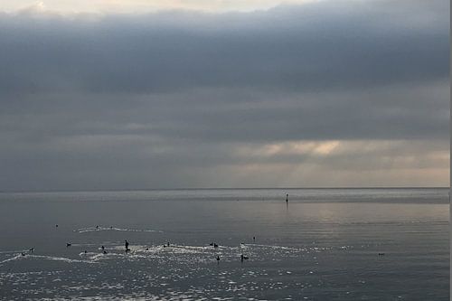 SILVER LININGS I