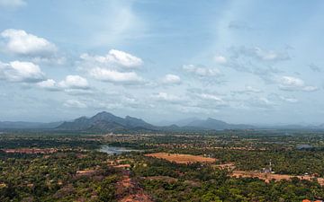 Sri Lankan Dream by Ian Schepers