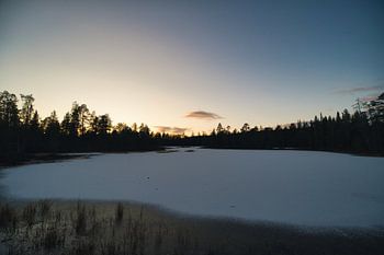 Voyage d'Urho Kekkonen