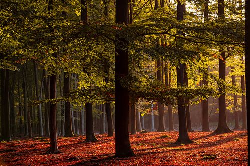 herfst!