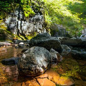 Ruisseau gargouillant dans les Ardennes sur Kelly Grosemans