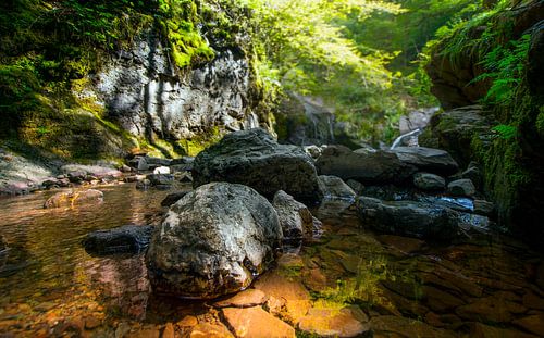 Ruisseau gargouillant dans les Ardennes