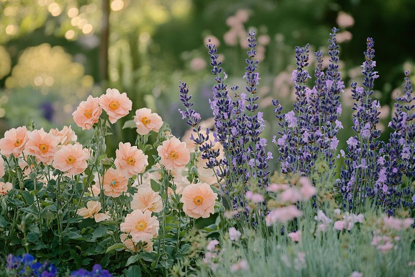 Fleurs de rêve dans les tons pastel par Imperial Art House
