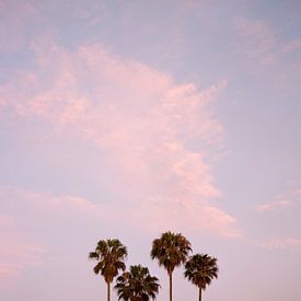 Zonsondergang San Diego van Bethany Young Photography