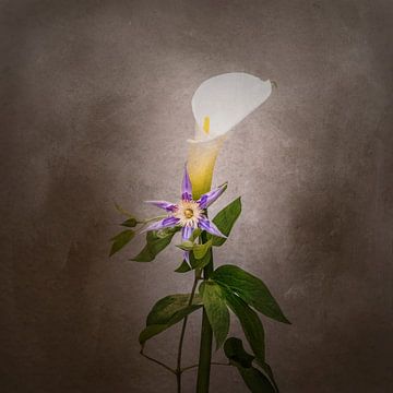 Sierlijke bloemen - Calla en Clematis | Vintage stijl van Melanie Viola