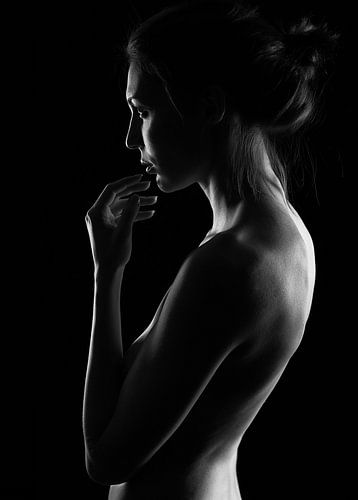 Winteravond van Dmitriy Batenko