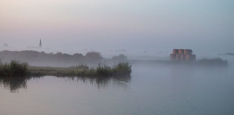 Wormer in mist von Hans de Waay