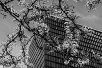 Stadt + Natur im Mix