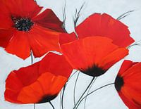 Favoriete bloem: rode klaproos