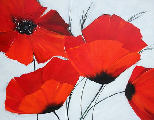 Fleur préférée : pavot rouge