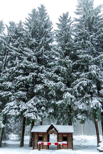 Prachtig winterlandschap op de hoogten van het Thüringer Wald