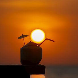 Kokosnoot bij zonsondergang van Walter G. Allgöwer