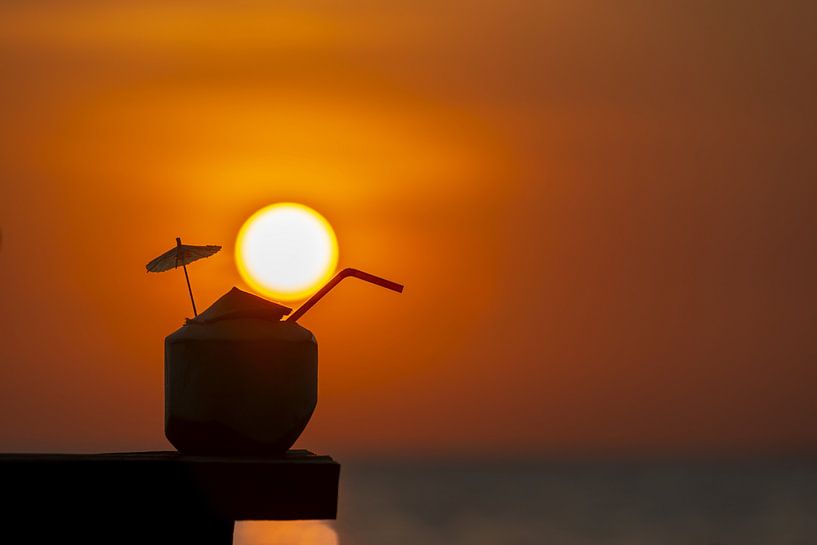 Kokosnoot bij zonsondergang van Walter G. Allgöwer