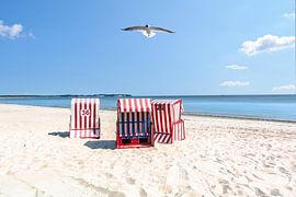 Drie rood-wit gestreepte strandstoelen met een zeemeeuw