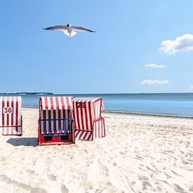 Three red and white striped beach chairs with a seagull by GH Foto & Artdesign