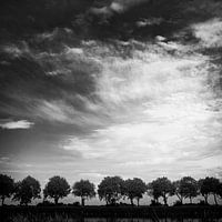 Friese lucht