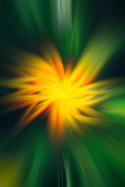 Marigold abstract by Steffen Peters