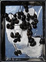 Nature morte avec bol, glace et glands noirs