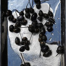 stillleben mit schale, eis und schwarzen eicheln von Jacques Splint