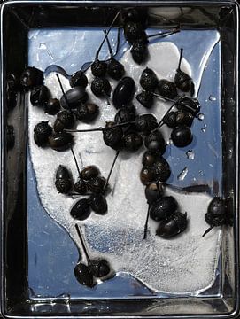 stilleven met schaal, ijs en zwarte eikels van Jacques Splint