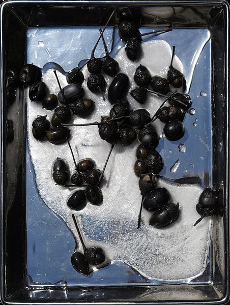 stillleben mit schale, eis und schwarzen eicheln von Jacques Splint