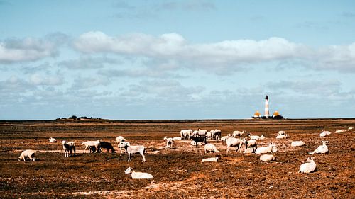 Westerhever vuurtoren