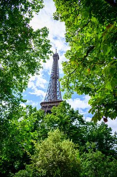 Eiffel Tower, Paris by Didi van Dijken