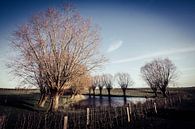 Domain Bree-Eik Lennik by vw-photography thumbnail