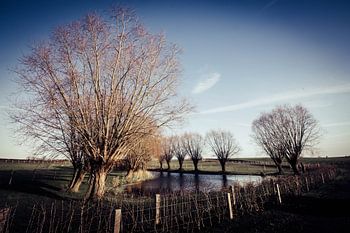 Domain Bree-Eik Lennik