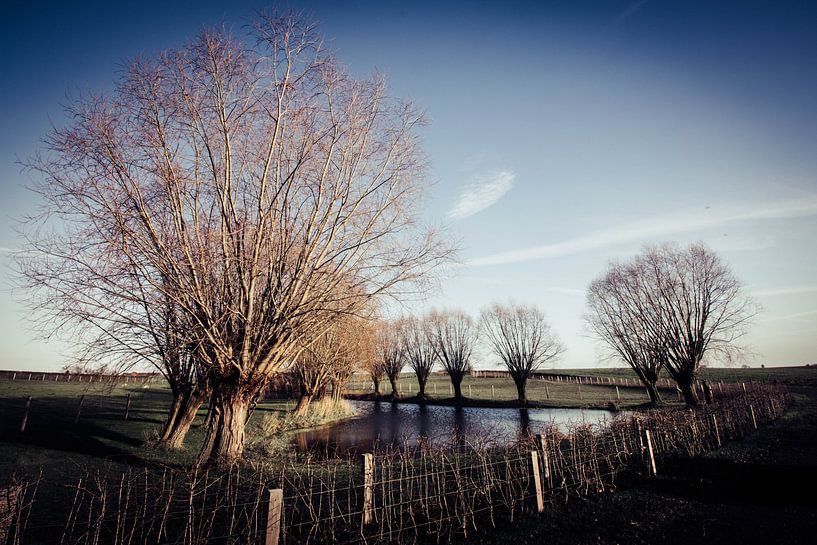 Domain Bree-Eik Lennik by vw-photography