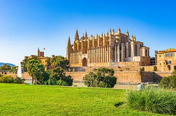 Kathedraal in het historische centrum van Palma de Mallorca, Spanje Balearen van Alex Winter