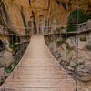 Suspension Bridge van Cornelis (Cees) Cornelissen